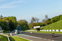 Evening Adv_Mid Group